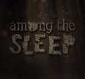 Among the Sleep 