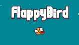 Flappy Bird    