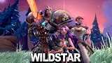 Wildstar  3 