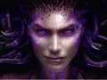 StarCraft 2: Heart of the Swarm 