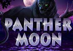  Panter Moon