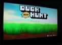 Duck Hunt   Wii U