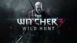    The Witcher 3: Wild Hunt