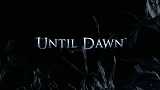   Until Dawn