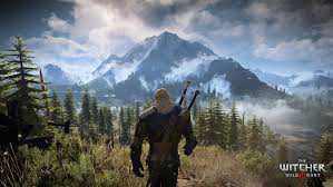   The Witcher 3  600   150  