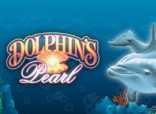    Dolphins Pearl