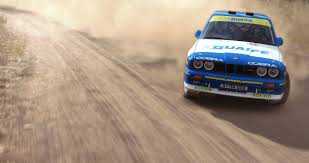 DiRT Rally   ,  