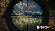   theHunter: Call of the Wild   