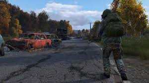 DayZ    13 