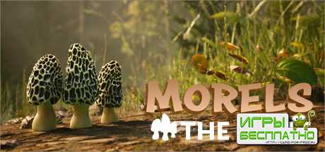        Morels: The Hunt