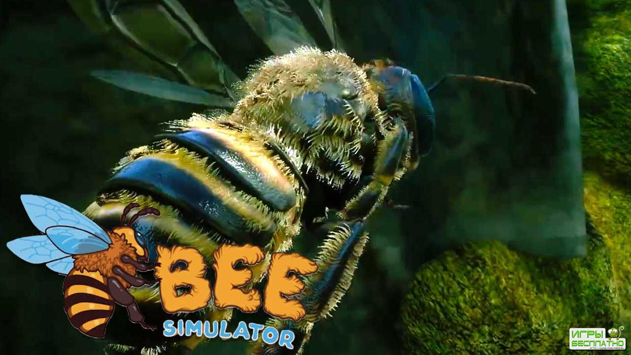 Bee Simulator GamePlay PC