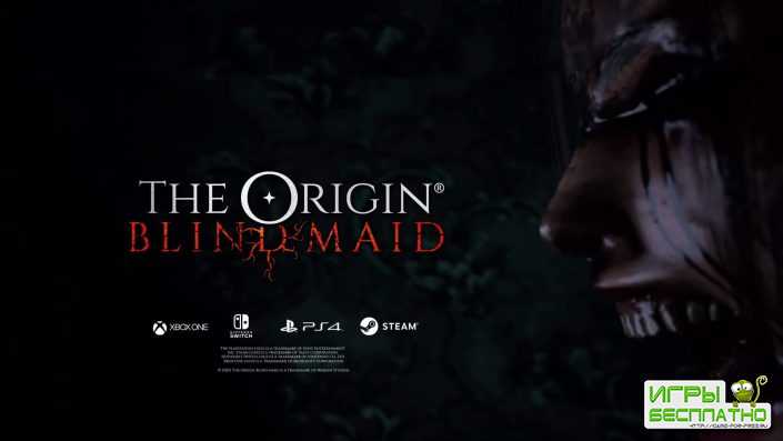   The Origin: Blind Maid