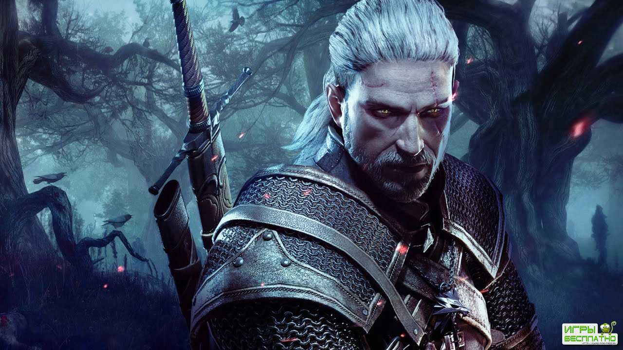  The Witcher 3  CD Projekt RED     