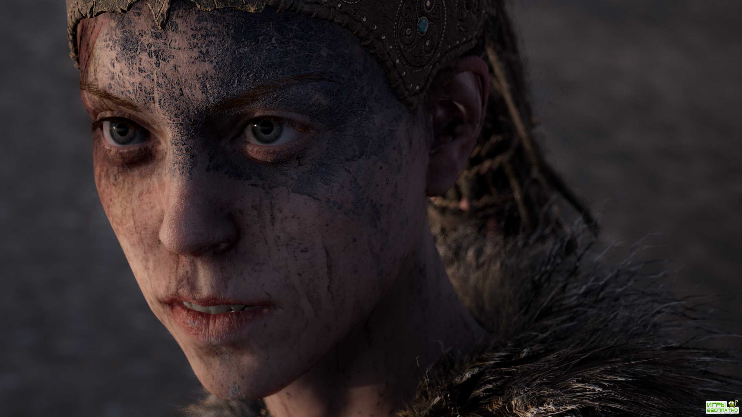 Hellblade: Senua's Sacrifice  PC      